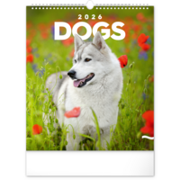 Realsystem 2026 Dogs 6087-DO falinaptár