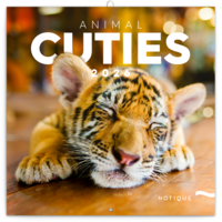 Realsystem 2026 Animal Cuties 6097-AC falinaptár