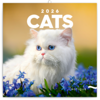 Realsystem 2026 Cat 6097-CA falinaptár