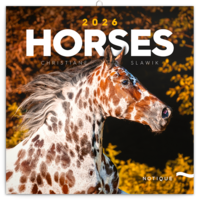 Realsystem 2026 Horses 6097-HO falinaptár