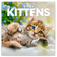 Realsystem 2026 Kittens 6097-KI falinaptár