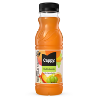 Cappy multivitamin 0,33l DRS egyutas visszaváltási díjas PET palackos gyümölcslé